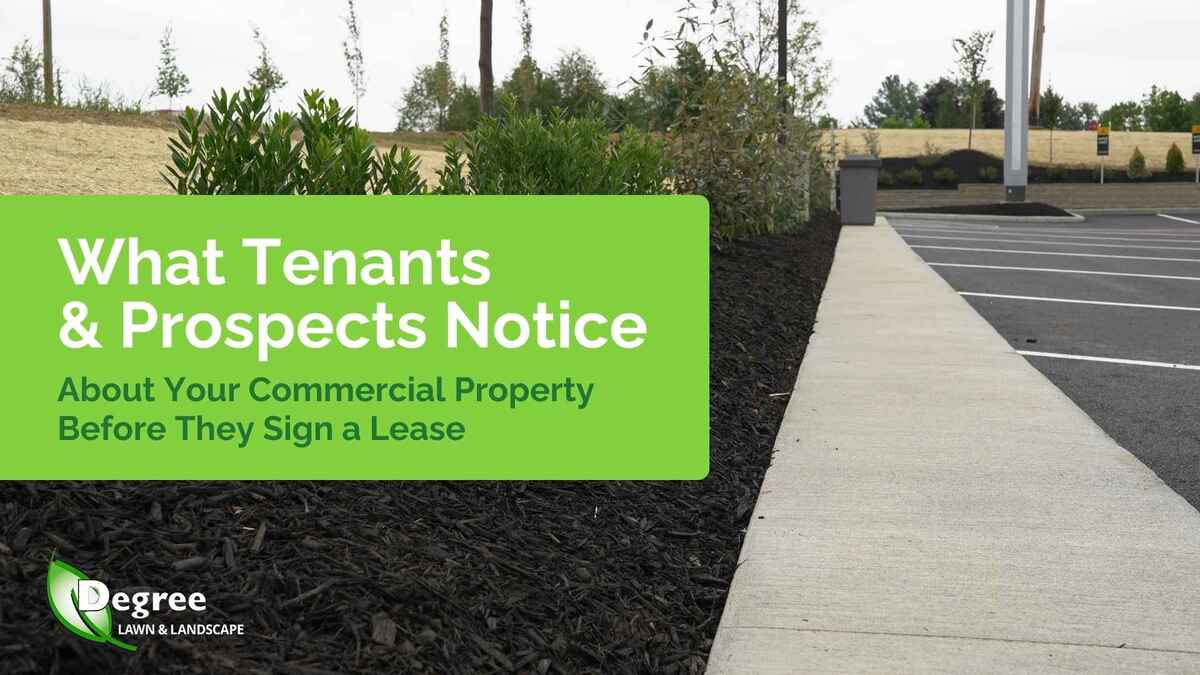 What Tenants and Prospects Notice About Your Commercial Property Before They Sign a Lease 